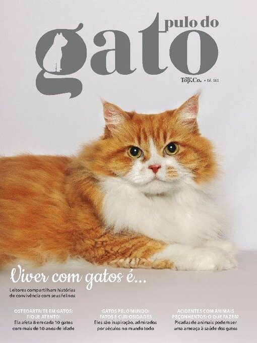 Title details for Pulo do Gato by EDICASE GESTAO DE NEGOCIOS EIRELI - Available